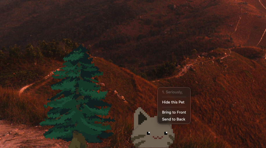The right-click menu on a live pet: Hide this Pet, Bring to Front, Send to Back